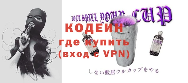 индика Абаза